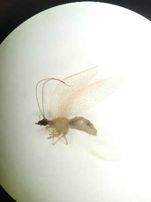  ( - HEM_70)  @11 [ ] Unspecified (default): All Rights Reserved  Unspecified Unspecified