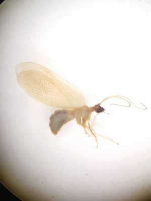  ( - HEM_71)  @11 [ ] Unspecified (default): All Rights Reserved  Unspecified Unspecified