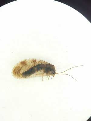  ( - HEM_79)  @11 [ ] Unspecified (default): All Rights Reserved  Unspecified Unspecified