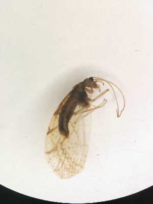  ( - HEM_89)  @11 [ ] Unspecified (default): All Rights Reserved  Unspecified Unspecified