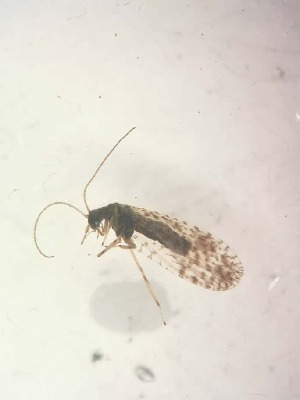  ( - HEM_9)  @11 [ ] Unspecified (default): All Rights Reserved  Unspecified Unspecified