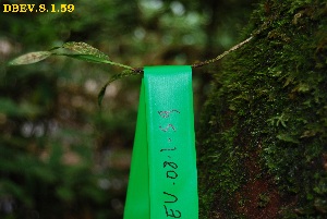  ( - DBEV.8.1.59)  @11 [ ] No Rights Reserved  Unspecified Unspecified