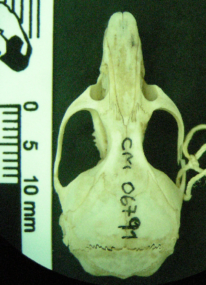  ( - CMI RAO126)  @12 [ ] Unspecified (default): All Rights Reserved  Unspecified Unspecified