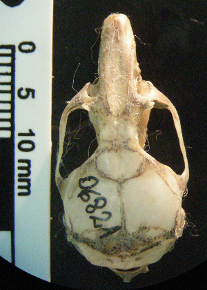  ( - CMI RAO1168)  @12 [ ] Unspecified (default): All Rights Reserved  Unspecified Unspecified