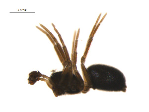  ( - BIOUG14291-G06)  @11 [ ] CreativeCommons - Attribution (2014) G. Blagoev Centre for Biodiversity Genomics