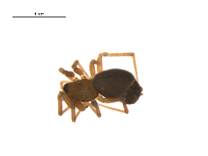  ( - BIOUG14292-D04)  @12 [ ] CreativeCommons - Attribution (2014) G. Blagoev Centre for Biodiversity Genomics
