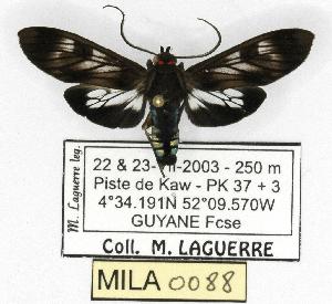  ( - MILA 0088)  @14 [ ] Copyright (2010) Michel Laguerre Research Collection of Michel Laguerre