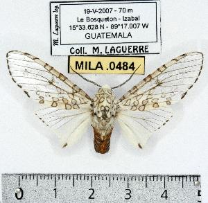  ( - MILA 0484)  @14 [ ] Copyright (2010) Michel Laguerre Research Collection of Michel Laguerre