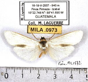  ( - MILA 0973)  @12 [ ] Copyright (2010) Michel Laguerre Research Collection of Michel Laguerre