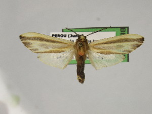  ( - BEVI2465)  @11 [ ] No Rights Reserved (2024) Benoit VINCENT Unspecified