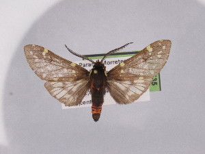  ( - BEVI2535)  @11 [ ] No Rights Reserved (2024) Benoit VINCENT Unspecified