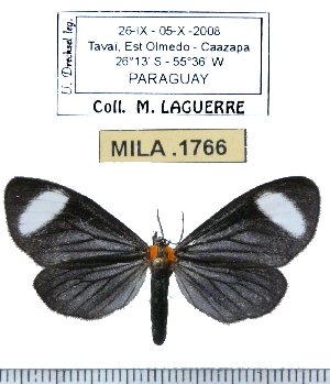  ( - MILA 1766)  @11 [ ] Copyright (2012) Michel Laguerre Research Collection of Michel Laguerre