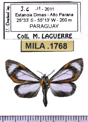  ( - MILA 1768)  @13 [ ] Copyright (2012) Michel Laguerre Research Collection of Michel Laguerre