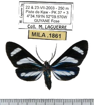  ( - MILA 1861)  @12 [ ] Copyright (2012) Michel Laguerre Research Collection of Michel Laguerre