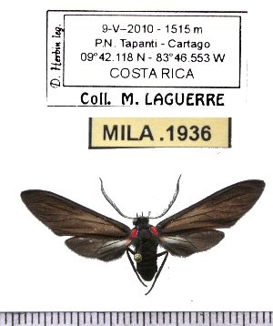  ( - MILA 1936)  @12 [ ] Copyright (2012) Michel Laguerre Research Collection of Michel Laguerre