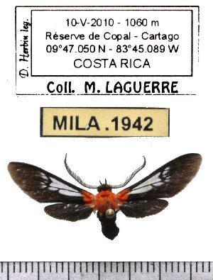  ( - MILA 1942)  @12 [ ] Copyright (2012) Michel Laguerre Research Collection of Michel Laguerre