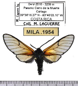  ( - MILA 1954)  @12 [ ] Copyright (2012) Michel Laguerre Research Collection of Michel Laguerre