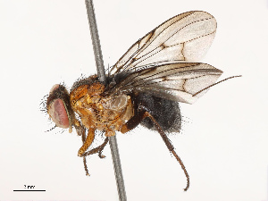  ( - CBG-B21615-G11)  @11 [ ] CreativeCommons - Attribution Share - Alike (2025) CBG Photography Group Centre for Biodiversity Genomics