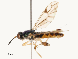  ( - CBG-B21620-D10)  @11 [ ] CreativeCommons - Attribution Share - Alike (2025) CBG Photography Group Centre for Biodiversity Genomics