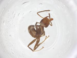 ( - CBG-B22773-H05)  @11 [ ] CreativeCommons - Attribution Share - Alike (2025) Centre for Biodiversity Genomics Centre for Biodiversity Genomics