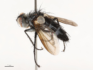  ( - CBG-B00465-F08)  @11 [ ] CreativeCommons - Attribution Share - Alike (2025) CBG Photography Group Centre for Biodiversity Genomics