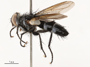  ( - CBG-B00465-F09)  @11 [ ] CreativeCommons - Attribution Share - Alike (2025) CBG Photography Group Centre for Biodiversity Genomics