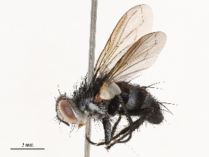  ( - CBG-B00465-F12)  @11 [ ] CreativeCommons - Attribution Share - Alike (2025) CBG Photography Group Centre for Biodiversity Genomics