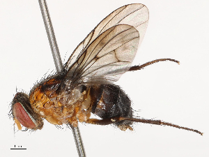  ( - CBG-B22926-A03)  @11 [ ] CreativeCommons - Attribution Share - Alike (2025) CBG Photography Group Centre for Biodiversity Genomics
