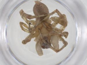  ( - CBG-A53170-E04)  @11 [ ] CreativeCommons - Attribution Share - Alike (2024) Centre for Biodiversity Genomics Centre for Biodiversity Genomics