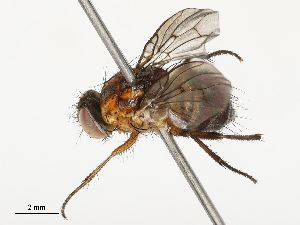  ( - CBG-B00464-A01)  @11 [ ] CreativeCommons - Attribution Share - Alike (2025) CBG Photography Group Centre for Biodiversity Genomics