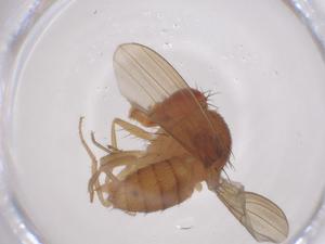  ( - CBG-B00590-E05)  @11 [ ] CreativeCommons - Attribution Share - Alike (2025) Centre for Biodiversity Genomics Centre for Biodiversity Genomics