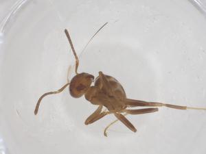  ( - CBG-B00592-F03)  @11 [ ] CreativeCommons - Attribution Share - Alike (2025) Centre for Biodiversity Genomics Centre for Biodiversity Genomics