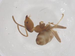  ( - CBG-B00592-F07)  @11 [ ] CreativeCommons - Attribution Share - Alike (2025) Centre for Biodiversity Genomics Centre for Biodiversity Genomics