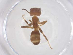  ( - CBG-B00602-F09)  @11 [ ] CreativeCommons - Attribution Share - Alike (2025) Centre for Biodiversity Genomics Centre for Biodiversity Genomics