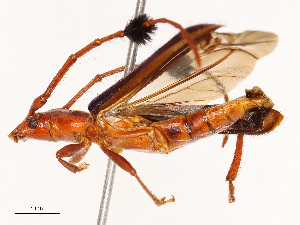  ( - CBG-B00488-E10)  @11 [ ] CreativeCommons - Attribution Share - Alike (2025) CBG Photography Group Centre for Biodiversity Genomics