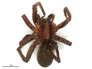  ( - CBG-B00501-H07)  @11 [ ] CreativeCommons - Attribution Share - Alike (2025) CBG Photography Group Centre for Biodiversity Genomics