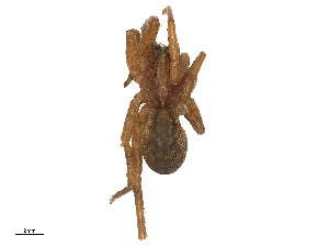  ( - CBG-B00501-H10)  @11 [ ] CreativeCommons - Attribution Share - Alike (2025) CBG Photography Group Centre for Biodiversity Genomics