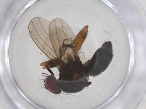  ( - CBG-B00984-C06)  @11 [ ] CreativeCommons - Attribution Share - Alike (2025) Centre for Biodiversity Genomics Centre for Biodiversity Genomics