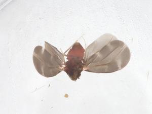  ( - CBG-B00989-B01)  @11 [ ] CreativeCommons - Attribution Share - Alike (2025) Centre for Biodiversity Genomics Centre for Biodiversity Genomics