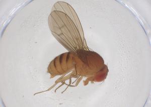  ( - CBG-B01023-E10)  @11 [ ] CreativeCommons - Attribution Share - Alike (2025) Centre for Biodiversity Genomics Centre for Biodiversity Genomics