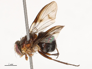  ( - CBG-B01175-B03)  @11 [ ] CreativeCommons - Attribution Share - Alike (2025) CBG Photography Group Centre for Biodiversity Genomics