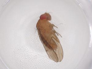  ( - CBG-B01416-F12)  @11 [ ] CreativeCommons - Attribution Share - Alike (2025) Centre for Biodiversity Genomics Centre for Biodiversity Genomics