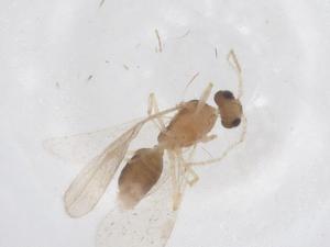  ( - CBG-B02327-E07)  @11 [ ] CreativeCommons - Attribution Share - Alike (2025) Centre for Biodiversity Genomics Centre for Biodiversity Genomics