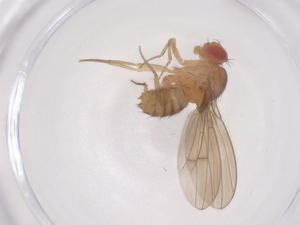  ( - CBG-B20204-F06)  @11 [ ] CreativeCommons - Attribution Share - Alike (2025) Centre for Biodiversity Genomics Centre for Biodiversity Genomics