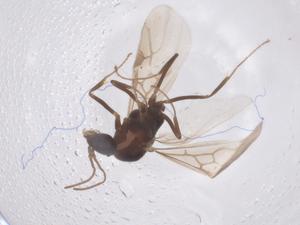  ( - CBG-B02180-G10)  @11 [ ] CreativeCommons - Attribution Share - Alike (2025) Centre for Biodiversity Genomics Centre for Biodiversity Genomics