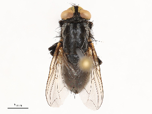  ( - CBG-B02343-F04)  @11 [ ] CreativeCommons - Attribution Share - Alike (2025) CBG Photography Group Centre for Biodiversity Genomics