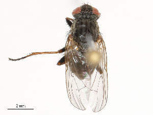  ( - CBG-B02484-B01)  @11 [ ] CreativeCommons - Attribution Share - Alike (2025) CBG Photography Group Centre for Biodiversity Genomics