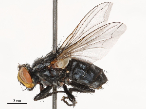  ( - CBG-B02492-C03)  @11 [ ] CreativeCommons - Attribution Share - Alike (2025) CBG Photography Group Centre for Biodiversity Genomics