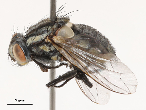  ( - CBG-B02492-C10)  @11 [ ] CreativeCommons - Attribution Share - Alike (2025) CBG Photography Group Centre for Biodiversity Genomics