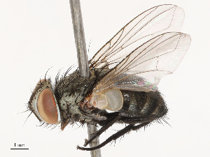 ( - CBG-B02496-E11)  @11 [ ] CreativeCommons - Attribution Share - Alike (2025) CBG Photography Group Centre for Biodiversity Genomics